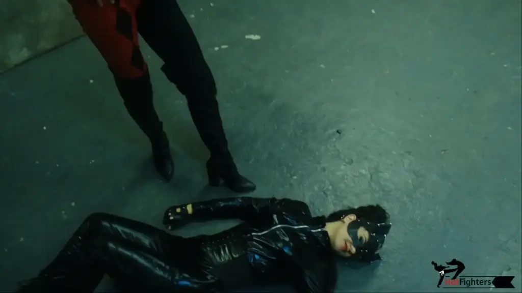 Bad Girls of Gotham On this day, the streets of Gotham City become the battleground for a showdown between two relentless Superheroines – Harley Quinn and Catwoman. 