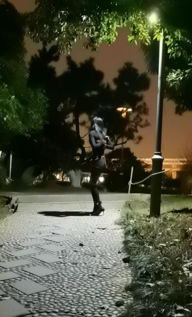 小公园外出自缚 绑上大腿，穿上高跟，脚腕用皮拷加链子连接起来，带好郊狼，绑个后手然后在小公园自缚，太冷了，中途没注意有个台阶给我摔地上了，~~自己一个人还是太难拍出来自缚外出这种视频了，小公园的路灯太暗很多只能拍出来个影子，走不了几步就出画面了，然后来回换了几个地方，几个小段就凑出来十来分钟，时长太短，就不当正常视频了，便宜挂上了~~ <span style='color:#b0b0b0;'>[隐藏文字，购买后可见]</span>
