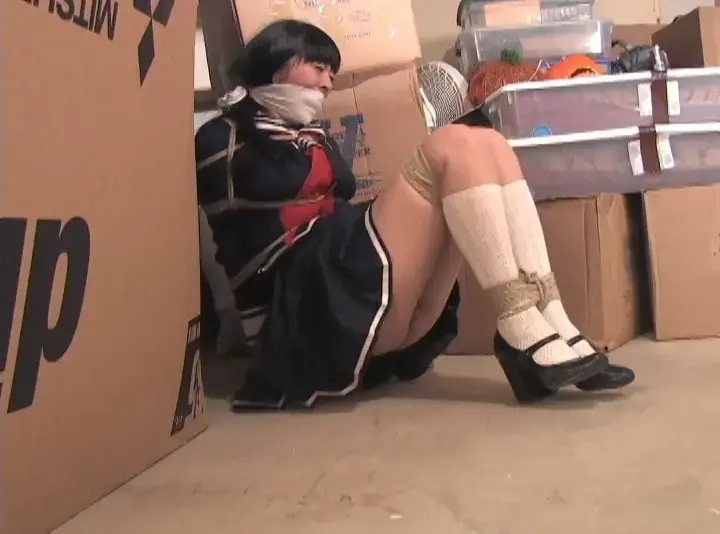 2501NYSSA-Asian schoolgirl tied up and stashed in a basement Nyssa's family is very rich. So rich, he can afford to send her off to the finest college in the land. But other people want their money and will do whatever they have to to get it. So today, someone has grabbed Nyssa as she left her last class. He cuffed her hands and tied a knotted rag between her teeth to gag her. The video begins with the man forcing Nyssa downstairs into a cold basement. He makes her sit on the floor where he removes the handcuffs and ties her up with rope. Then he removes the gag. But before Nyssa can say anything, he stuffs her mouth with panties and then ties another rag tightly over her mouth to gag her again. Nyssa is wrapped painfully tight with lots of rope. She whimpers thought the gag and struggles on the floor trying to get loose. She pays little attention to fact that her very short uniform skirt does a poor job of hiding her pretty panties. Later her captor returns. He is very disappointed that Nyssa's step-father is not cooperating. He needs to show the step-father that he means business.