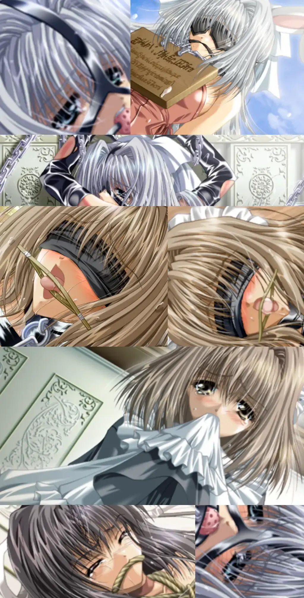 EXILE BLOOD ROYAL II（本体+全CG存档） 关键词：捆绑凌辱，紧缚调教，奴隶开发，监禁虐待，SM/道具/绳子/口球/玩具/鞭子/蜡烛/拉珠/锁链/三角木马<br>cherrysoft的著名调教作品系列，超级老物，玩法和调教非常有特色<br>虽然是老东西作品，但是一点都不拖泥带水，无论是剧情或是玩法<br>调教玩法有点像3d定制女仆的夜枷模式，选择如何调教，分为几个阶段<br>还会根据调教次数和女主堕落点数解锁不同的调教模式，比如：虐待系列，SM系列，变态系列等等<br>几个不同的系列可以自由排列组合，每个阶段调教玩法都可以由自己选择<br>此外调教中还会带点故事，夜间露出会触发CG，第一次SM会触发CG，以此类推<br>每个角色都会有自己的不同结局，变态结局，SM结局，奴隶结局，娼妇结局等等<br>结局的触发条件都很有趣，对与每一代系列都有不同的触发条件<br>甚至有一些非主要角色都有结局，比如3代里面的修女，有个十字架捆绑凌辱的结局<br>每一代角色塑造也很有特色，3代的金毛妹妹，2代的白毛女主和女仆妹子<br>调教模式差分非常多并且区分很细腻<br>同一个调教姿势，可以选择加上拉珠或者跳/蛋亦或是快乐棒等等小玩具（当然，你也可以选择全部塞上~）<br>同一个调教姿势根据次数或者调教口味不同也会有差分，主打SM系列就会被塞上口球（口塞） 被全身捆绑<br>主打变态系列就是露出和伪装拘束之类的了（主要看是那一部作品，第2.3代相对于第一代来讲非常全面）<br>举个例子，2代女主之一的白毛整整6页CG，每页20个（包含差分）<br>2代作品主要女主数量是4个，由此可见，这些作品的量和玩法是非常丰富的<br><br>这是第二代作品<br>■故事<br>你是马上即将成为魔王的，被诅咒了命运的王子。<br>某国的国王害怕这种力量，有一天两位美姬被献上了。<br>如果从公主那里得到了“真实的爱”，王子就能回到人类身边…。<br>有一说一，这一代作品属于完全的SM类调教作品<br>---------------------------------------------------------------------------------------------------------------------------------------------------------<br>更多的有关于BDSM的游戏抑或是其他恋物游戏可以点击我的视频，进我发布的视频主页查看<br>我会不定时更新内容，如果有什么建议或者您想玩的什么游戏，可以私信或者直接在视频下方留言<br>注意事项：<br>1.解压密码默认没有，有的话提取码就是<br>2.请不要在线解压，请不要在线解压，请不要在线解压，重要的事情说三遍<br>3.个别用户压缩包使用自带的压缩软件如果无法解压请下载《360压缩》进行解压，因为我是用360压缩软件进行生成的压缩包，此软件百分百解压<br>4.下载完成后是后缀为.111或者其他什么稀奇古怪的后缀的文件，需要右键点击重命名改后缀，将他改成.7z才可进行解压，如最后三张截图所示，中间那步点是<br>5.因为网盘等问题被和谐，直接在评论里面和我说一声补档即可，一般会在3天之内补上，另外，关于PC端和手机端游戏的问题，大部分发布的都是PC端游，也有一些手机端，如果是手机端游戏，我会在文中或者标题特别说明，其次，手机端还分为安卓和苹果两个系统，两端不可互通（PC同理，win和mac）<br>---------------------------------------------------------------------------------------------------------------------------------------------------------<br>这里集中回复几个运行过程中极少出现的问题<br>1.游戏无法运行，运行错误，乱码<br>这个问题只会出现在外文游戏里面，而且大部分都是年代比较老的作品，使用unity引擎和虚幻引擎的3D游戏和SLG，ACT类型的游戏<br>基本不会出现此问题，AVG，ADV和一些其他类型的日区游戏很容易出现此问题，这种情况下一般要用转区软件比如LE去转区才可以<br>打开，此外游戏外面不能有中文路径（有些乱码就是这个原因），RPG游戏除了几个特殊的引擎需要下载RPG三件套，其他不会有问题。<br>2.提示缺少插件，打开错误指令，运行不兼容<br>电脑本身的问题，这个我自己就深有体会，点名w11系统，动不动就弹出缺少什么什么dll插件然后无法运行<br>解决方案：修复PC运行库，Direct修复，系统DLL插件修复等等，w10一般比w11稳定得多<br>3.怎么改文件后缀<br>下面的是百度百科的原话<br>修改文件后缀名的方法主要涉及显示文件扩展名、重命名文件以及使用命令行工具。以下是具体步骤：<br>（1）显示文件扩展名：首先，需要确保文件扩展名是可见的。<br>在Windows系统中，可以通过打开“此电脑”或任意文件夹，点击菜单栏中的“查看”选项，然后勾选“文件扩展名”来显示文件后缀。<br>（2）重命名文件：一旦文件扩展名显示出来，就可以通过重命名文件来修改后缀名。选择需要修改后缀名的文件，右键点击并选择“重命名”<br>然后直接在文件名后面添加或修改后缀名。完成后，按回车键确认修改。<br>（3）使用命令提示符：对于批量修改或更复杂的操作，可以使用命令提示符（cmd）。<br>打开cmd窗口，使用“ren”命令来批量修改文件后缀名。例如，要将当前目录下的所有.txt文件改为.doc，可以输入“ren *.txt *.doc”。<br>注意事项：修改文件后缀名可能会影响文件的打开方式和系统对文件的识别。<br>确保新后缀名与文件的实际格式相匹配，否则可能导致文件无法打开或数据损坏。<br>如果不确定文件的原始格式，建议先备份原始文件。<br>对于特定操作系统（如Windows 11）或设备（如iPhone、苹果电脑）<br>操作步骤类似，但可能有些许差异，特别是在显示和修改文件扩展名的具体步骤上。<br>
