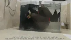 【水箱捆绑逃生失败】被五花大绑之后锁在水箱里表演逃生魔术，但是水下绳子摩擦力好大根本解不开… 今天尝试一下绳艺，让小伙伴用绳子把我给五花大绑了，然后把我一头按到水箱里，从外面把盖子锁上，钥匙扔水箱里，我必须在溺死之前解开绳子，然后找到钥匙打开盖子逃脱出来<br><br>否则我就会当着大家的面，被活活溺死在这个水箱里（开玩笑啦）<br><br>而我也和助手说好了，表演过程中无论发生什么，都不会停止，即便我真的无法逃脱在水下溺水了，那也要等我完全停止动作半分钟之后才会把我捞出来（逃脱失败就是要有严厉的惩罚和风险，才会让表演变得更刺激）<br><br>当然，水下时间有限，并没有用很多绳子，但是关键的手臂和手腕倒是被重点照顾多捆了几道（受绑的时候抖M之魂发作了，挑逗说再把我绑紧一些呀，要是逃不出来岂不是更刺激，结果真的到了水下解不开的时候就知道后悔了）<br><br>下水了才发现水下解绳和外面完全不一样，泡水的绳子不知道是膨胀了还是怎么的，绳结的摩擦力特别大，即便是简单的绳结也无法解开，所以到头来被锁在水下之后，我全程没有任何的进展，一点也解不开<br><br>最后呛水的时候，由于手脚都被绑着，再加上狭窄的水箱空间，连痛苦挣扎都做不到，只有很小幅度的动作。。。。<br><br>昏迷后过了半分多钟这样被捞起来，没有大碍，但是很危险，大家无论如何不可以模仿！<br><br>解压密码shuixiang