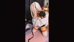 特蕾西娅cos，折腿缚+后手缚+单腿吊+电击鞭+k9爬行 （女孩子！女孩子！女孩子！重要的事情说三遍！！！）<br>特蕾西娅cos，折腿缚 后手缚 单腿吊 电击鞭 k9爬行（定拍视频，如冒犯角色致歉）<br>（最近部分视频打折，可在主页进行购买，也可添加qq212035806）<br>（之后想拍的角色是：崩铁（白露？，花火，黑塔）原神（纳西妲，芙宁娜）希望能有老板赞助！）<br>希望大家多多支持，之后还会出更多角色的cos，更多玩具和玩法，如果有愿意赞助或者定拍的老板请添加联系方式，我的主页还有更多cos绳艺的文和视频哦，喜欢的老板也可以购买或者添加联系方式获取详情哦。<br>（目前在天津，是一个绑人的家伙，约绳请添加联系方式，qq212035806，推特@ShiSheng171912，注明来意，还有希望能够支持一下我写的小说，可能某些剧情会从小说里复刻一下之类的。目前承包业务：买文，约稿，约绳，定拍？）