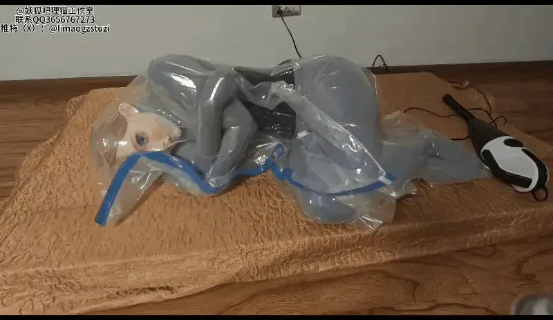 【狸猫】女女丝袜全包，kigurumi真空袋息窒 ，打包kig娃娃，真空后胶带打包，给无脸丝袜人偶赋予新的五官吧 解压密码：limao   时长：  21min <br><br>自从有了kigurumi，模特对头壳爱不释手，这么可爱的娃娃当然要真空打包啦，当然一层的zentai是不够的，现在的模特不全包就很不舒服呢，所以我们用灰色油亮丝袜抹去她的五官啦，将她包成没有五官的灰色丝袜人偶，全身都是滑滑的，上下丝袜在腰部压死，最后用黑色束腰收紧捆绑，彻底丝袜化，但是娃娃没有脸怎么可以呢，所以这个kig就是她的脸咯，以后这就是模特的脸啦，永久的脸，一个无论怎么玩弄都是很可爱的脸哦，至于头壳下面是什么表情完全不用管了呢，制作好的娃娃当然要塞进真空袋打包啦，头部四层丝袜一层zentai，勒死束腰，又带上头壳的的模特呼吸真的困难无比呢，不过真空袋才是她最后的归宿哦，偷偷掀开模特的头壳，下面确实是没有脸的丝袜人偶呢，最后一次真空袋她以为要结束的时候其实是永久真空，因为我要真空后再胶带打包，人偶就应该这样嘛<br><br>狸猫工作室接各种定拍，胶带全包，丝袜全包等，出原味袜子，接赞助，合作，，很多东西还在慢慢摸索，感谢大家的支持！联系方式:<span style='color:#b0b0b0;'>[隐藏文字，购买后可见]</span>，留好友必须必须出示妖狐购买记录