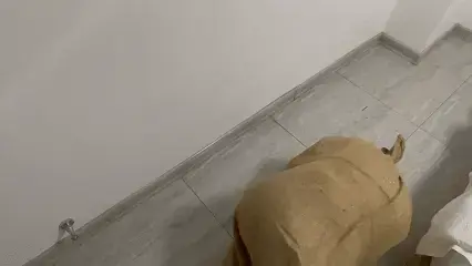  可视(0001) 新模特第一次体验，一来直接套麻袋体验半个小时，还说很容易出来 结果证明不可能出来 定拍.咨询.招收模特.合作.闲聊.提建议 QQ3940801684