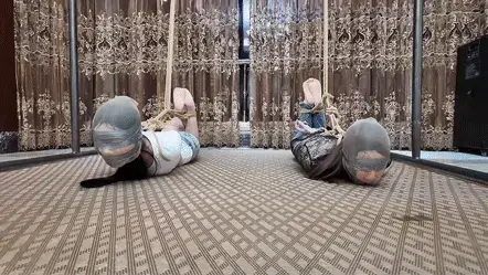 兩個女孩關係親密卻無法互相幫助 3 枫叶工作室定制作品<br>如需定拍可加QQ3821108537