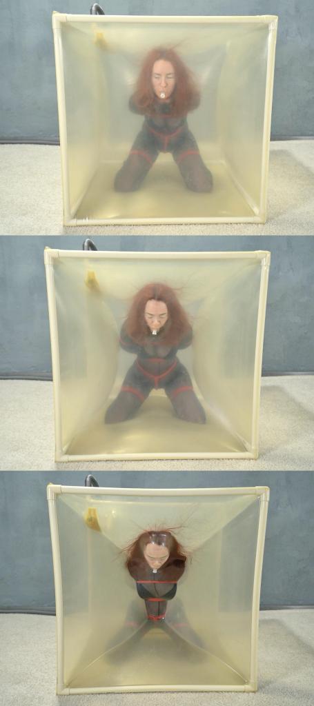 Bondage with red ropes in a transparent vacuum cube 连体黑丝小姐姐，双臂反绑全身缚，爬进真空箱，抽干空气，爽的在里面扭动。<br><br><span style='color:#b0b0b0;'>[隐藏文字，购买后可见]</span>