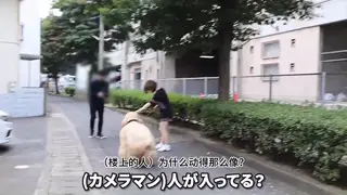 【金币福利】主人牵着人形狗去逛街（中文字幕） Femalemaskx小姐姐牵穿着厚重兽装里面还穿着一层zentai的人形狗小姐姐出门，吸引了许多路人好奇的围观，狗狗套装里的小姐姐体力真的非常棒。你如果想看这个视频的幕后花絮，请在站内搜索【オフショット】健康器具PR編・取材散歩編・ライブ配信这个钻石视频。<br>Miss Femalemaskx led out a human ‘dog girl’—who was wearing a heavy beast costume over a zentai suit—into the street, drawing a crowd of curious onlookers; the girl inside the dog suit truly has incredible stamina. If you want to see behind-the-scenes footage of this video, please search for 【オフショット】健康器具PR編・取材散歩編・ライブ配信,the diamond video, within the platform.<br>