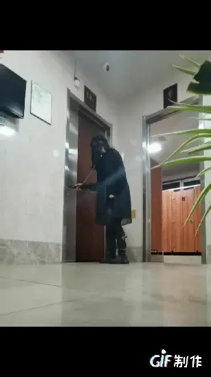 [HX]小男娘的公厕放置经历，长时间放置+电梯间户外露出被陌生小哥哥发现带走，后续会发生什么呢。。。露出+户外+公厕+勾引+连体黑丝 [HX]小男娘的公厕放置经历，长时间放置 电梯间户外露出被陌生小哥哥发现带走，后续会发生什么呢。。。露出 户外 公厕 勾引 连体黑丝