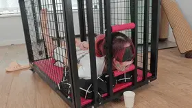 【中二病】单马尾佩佩的流口水片段欣赏 1.解压密码：cysy<br>2.解压方式：下载之后直接解压，解压之后出来的文件后缀名括号里的汉字删除，即为mp4文件。请千万不要使用百度云直接解压，会被封掉的。<br>3.定制联系：q 1516658459 邮箱：ciyuanshengyi@foxmail.com. 会有10元门槛，可以抵扣定拍费用，主要是防口嗨，因为人多我真的回复不过来。感谢支持。<br>4.剧情内容：<br>这个是一个老哥的定制内容截取，主要是流口水部分，各位还有什么合适的流口水的方式不如下面留言，后续一一尝试。<br>关于售价已经是平台限制之下的能设置的最低金额了。感谢支持。