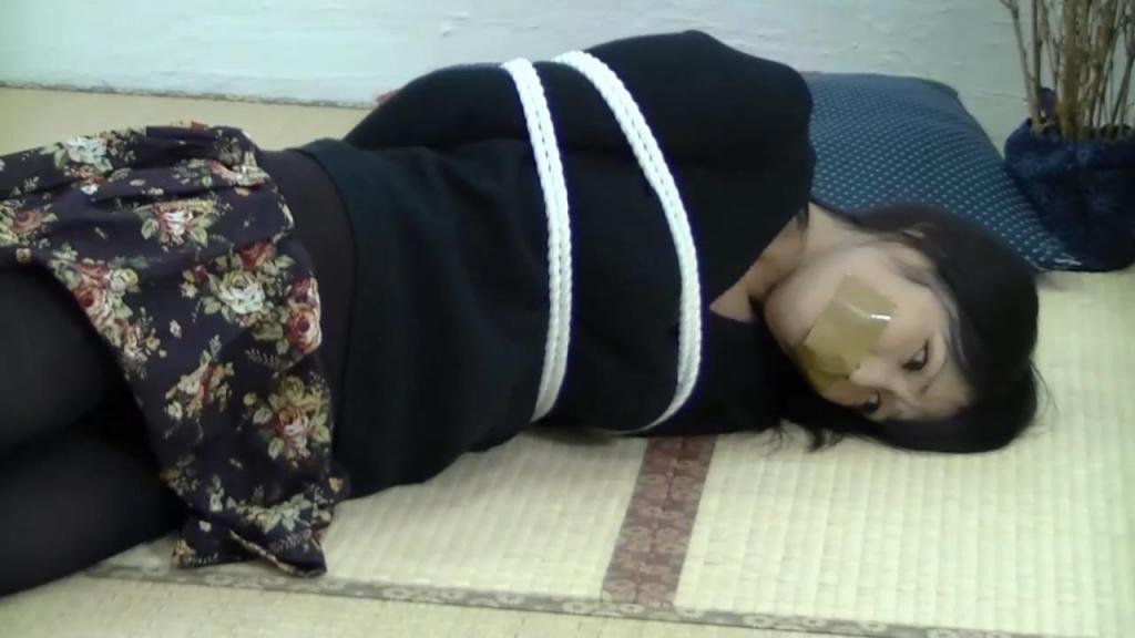 ニーアの危険な事件簿+番外編 美女遭遇怪人绑架，当绝望之时，精灵帮助她脱困。<br>    原作者：DIDPAY＠願望★妄想★自由<br>    感谢支持
