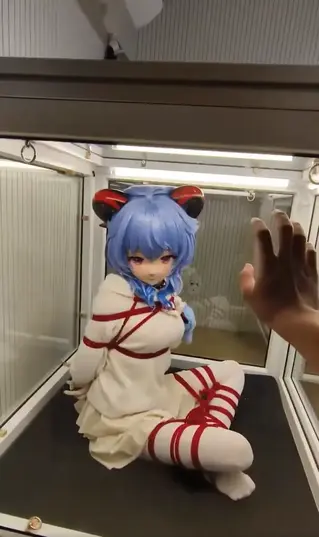 可观赏~不可触摸>. 可观赏~不可触摸>.<<br>kigurumi、紧缚、放置、振动棒、监禁、头套、拘束、强高、着ぐるみ、玩娃<br>视频中为特技表演者，请勿模仿视频中的高风险动作！安全第一，健康生活！<br>视频原创者：流萤