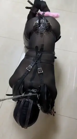 锻炼身体的方式是变成人犬被姐姐遛 锻炼身体的方式是变成人犬被姐姐遛，每天上班久坐，还是要多注意锻炼呀。伪娘小狗被女主人命令穿上全包紧身衣黑丝袜，四肢固定成人犬的模样在地上无助地爬行。戴上黑色头套口枷口球和粉色尾巴的肛塞，被姐姐用魔法棒任意玩弄 四爱 伪娘 情侣 女攻男受 4i<br>The way to exercise is to become a rubber human-dog and be walked by my older sister. Sitting for long periods at work every day, I really need to exercise more. The cross-dressing kigurumi puppy is ordered by its owner to wear a full-body latex bondage bodysuit and black stockings, its limbs fixed in place, crawling helplessly on the ground like a human-dog. Wearing a black zentai hood, gag, ball gag, and an anal plug with a pink tail, it is then manipulated at will by its older sister with a magic wand.<br>作者：sunshinebread