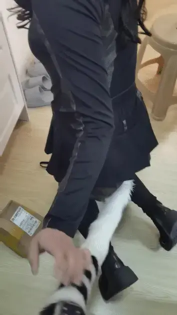 [HX]勾引外卖小哥的真实经历（实拍）~要求小哥帮忙拔掉尾巴+当着外卖小哥的面插入超长肛条+被外卖小哥试图闷杀+掐脖子（遇到了超大胆外卖小哥）勾引+露出+项圈+尾巴+窒息+肛条 勾引外卖小哥的真实经历（实拍）~为了让外卖小哥有充分的时间安心玩弄自己，小母狗点了一对一直送，外卖小哥怎么也没想到他送的竟是一条超长肛条。收到货后，小母狗要求小哥帮忙拍摄收货视频，并要求小哥帮忙拔掉尾巴，又当着小哥的面插入超长肛条。。。将项圈递给外卖小哥，表示会听从他的一切安排，没想到外卖小哥竟然试图闷晕小母狗，外卖小哥紧紧的掐住小母狗的脖子，小母狗先是一愣，然后兴奋地挣扎，小母狗的眼睛瞬间瞪大，双腿乱蹬，过膝长靴在地上摩擦出刺耳的声音，眼睛翻白，只剩眼白，很快，她的身体软了下去，失神晕厥过去。。。。<br><br>QQ：<span style='color:#b0b0b0;'>[隐藏文字，购买后可见]</span><br><br>