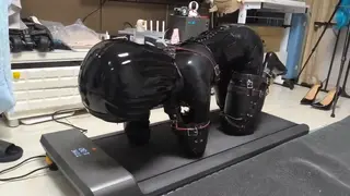 有跑步机的话，在家就能遛狗哦 磨磨蹭蹭的，给我再走快一点！<br>kigurumi、人形犬、头套、训练、挣扎、拘束、着ぐるみ、玩娃<br>视频中为特技表演者，请勿模仿视频中的高风险动作！安全第一，健康生活！<br>视频原创者：NaGo_sang 