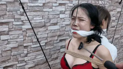 定拍转公映:将艺仙儿和希希相互背缚,电击,鞭打,股绳折磨,这两个货色越玩越上瘾...... 解压密码hdsy<br>将艺仙儿和希希相互背缚,电击,鞭打,股绳折磨这两个货色越玩越上瘾,.....<br>定拍交流请加QQ2032433381没有定拍能力的和伪女谢绝咨讯<br><br>