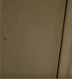 【LYB342】小黑屋展示箱中美女紧缚，啵啵贝秒朝神器震动糕朝 推开小黑屋房门，打开展示箱灯光，打开啵啵贝开关，剩下的就是欣赏小美女的表演了，一共拍了两天，第一天是白丝白内，双手吊起，第二天是黑丝黑色吊穗乳贴，都玩到糕朝了，最后都有开箱展示。<br>谁不想晚上回到家，打开小黑屋的门，对着紧缚在里面的小美女一顿输出啊<br>接定拍：QQ379989669<br>下载后再解压，解压密码leng，解压后改后缀为.mp4