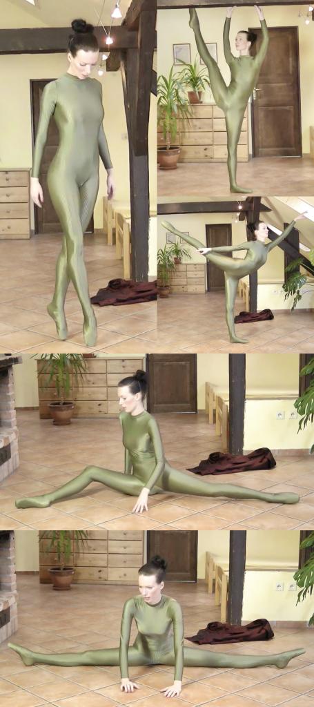 Ballet in a green catsuit 搬一波经典的系列，250部，肝了很久，整个人都肝麻了，终于能在五一假期给大家献上了。<br><br>该系列简称W4F，内容繁杂，元素丰富。<br>涉及各种恋物的方向 —— zentai、胶衣、丝袜、体操服、柔术、一字马、女同、男女、SM调教等等。<br><br>预览图做的很全面，大家购买时参考预览图就好了。<br>量太大了，所以文案就不写了，预览15秒也不选了，请海涵见谅。<br><br>还望大家多多支持捧场，祝大家五一节日快乐。<br><br><br><br><span style='color:#b0b0b0;'>[隐藏文字，购买后可见]</span>