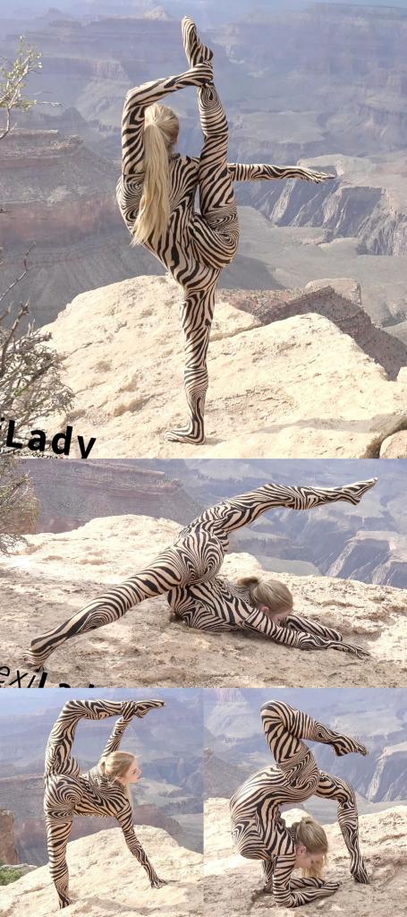 Contortion Performance on Grand Canyon 搬一波经典的系列，250部，肝了很久，整个人都肝麻了，终于能在五一假期给大家献上了。<br><br>该系列简称W4F，内容繁杂，元素丰富。<br>涉及各种恋物的方向 —— zentai、胶衣、丝袜、体操服、柔术、一字马、女同、男女、SM调教等等。<br><br>预览图做的很全面，大家购买时参考预览图就好了。<br>量太大了，所以文案就不写了，预览15秒也不选了，请海涵见谅。<br><br>还望大家多多支持捧场，祝大家五一节日快乐。<br><br><br><br><span style='color:#b0b0b0;'>[隐藏文字，购买后可见]</span>