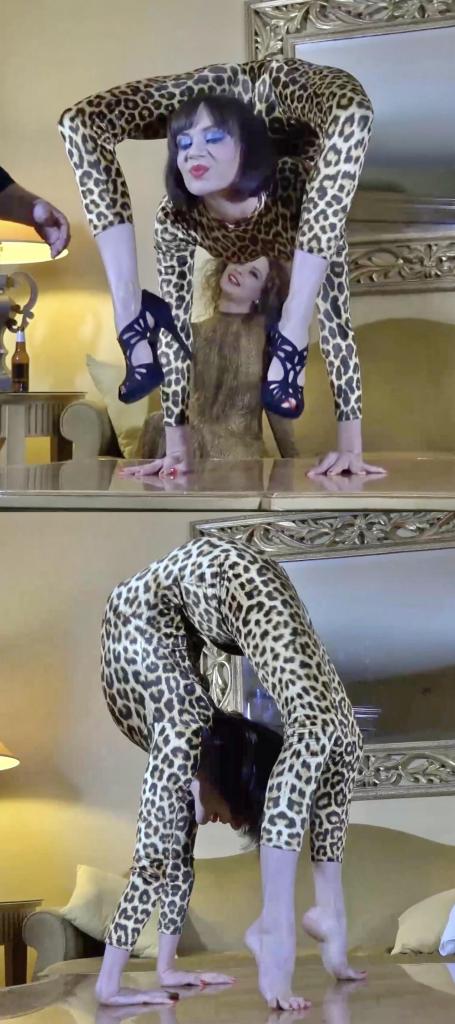 Extreme Backbending 搬一波经典的系列，250部，肝了很久，整个人都肝麻了，终于能在五一假期给大家献上了。<br><br>该系列简称W4F，内容繁杂，元素丰富。<br>涉及各种恋物的方向 —— zentai、胶衣、丝袜、体操服、柔术、一字马、女同、男女、SM调教等等。<br><br>预览图做的很全面，大家购买时参考预览图就好了。<br>量太大了，所以文案就不写了，预览15秒也不选了，请海涵见谅。<br><br>还望大家多多支持捧场，祝大家五一节日快乐。<br><br><br><br><span style='color:#b0b0b0;'>[隐藏文字，购买后可见]</span>