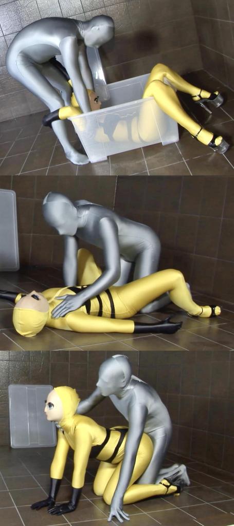 Flexible gift in spandex 搬一波经典的系列，250部，肝了很久，整个人都肝麻了，终于能在五一假期给大家献上了。<br><br>该系列简称W4F，内容繁杂，元素丰富。<br>涉及各种恋物的方向 —— zentai、胶衣、丝袜、体操服、柔术、一字马、女同、男女、SM调教等等。<br><br>预览图做的很全面，大家购买时参考预览图就好了。<br>量太大了，所以文案就不写了，预览15秒也不选了，请海涵见谅。<br><br>还望大家多多支持捧场，祝大家五一节日快乐。<br><br><br><br><span style='color:#b0b0b0;'>[隐藏文字，购买后可见]</span>