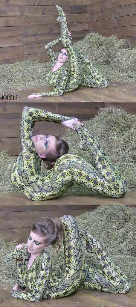 Flexible spandex beauty 搬一波经典的系列，250部，肝了很久，整个人都肝麻了，终于能在五一假期给大家献上了。<br><br>该系列简称W4F，内容繁杂，元素丰富。<br>涉及各种恋物的方向 —— zentai、胶衣、丝袜、体操服、柔术、一字马、女同、男女、SM调教等等。<br><br>预览图做的很全面，大家购买时参考预览图就好了。<br>量太大了，所以文案就不写了，预览15秒也不选了，请海涵见谅。<br><br>还望大家多多支持捧场，祝大家五一节日快乐。<br><br><br><br><span style='color:#b0b0b0;'>[隐藏文字，购买后可见]</span>