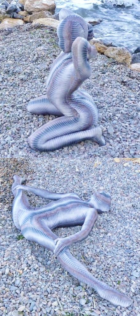 Full body catsuit on the beach 搬一波经典的系列，250部，肝了很久，整个人都肝麻了，终于能在五一假期给大家献上了。<br><br>该系列简称W4F，内容繁杂，元素丰富。<br>涉及各种恋物的方向 —— zentai、胶衣、丝袜、体操服、柔术、一字马、女同、男女、SM调教等等。<br><br>预览图做的很全面，大家购买时参考预览图就好了。<br>量太大了，所以文案就不写了，预览15秒也不选了，请海涵见谅。<br><br>还望大家多多支持捧场，祝大家五一节日快乐。<br><br><br><br><span style='color:#b0b0b0;'>[隐藏文字，购买后可见]</span>