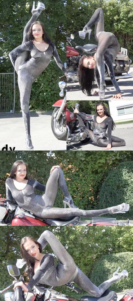 Harley Girl 搬一波经典的系列，250部，肝了很久，整个人都肝麻了，终于能在五一假期给大家献上了。<br><br>该系列简称W4F，内容繁杂，元素丰富。<br>涉及各种恋物的方向 —— zentai、胶衣、丝袜、体操服、柔术、一字马、女同、男女、SM调教等等。<br><br>预览图做的很全面，大家购买时参考预览图就好了。<br>量太大了，所以文案就不写了，预览15秒也不选了，请海涵见谅。<br><br>还望大家多多支持捧场，祝大家五一节日快乐。<br><br><br><br><span style='color:#b0b0b0;'>[隐藏文字，购买后可见]</span>