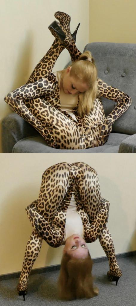 My new golden catsuit 搬一波经典的系列，250部，肝了很久，整个人都肝麻了，终于能在五一假期给大家献上了。<br><br>该系列简称W4F，内容繁杂，元素丰富。<br>涉及各种恋物的方向 —— zentai、胶衣、丝袜、体操服、柔术、一字马、女同、男女、SM调教等等。<br><br>预览图做的很全面，大家购买时参考预览图就好了。<br>量太大了，所以文案就不写了，预览15秒也不选了，请海涵见谅。<br><br>还望大家多多支持捧场，祝大家五一节日快乐。<br><br><br><br><span style='color:#b0b0b0;'>[隐藏文字，购买后可见]</span>