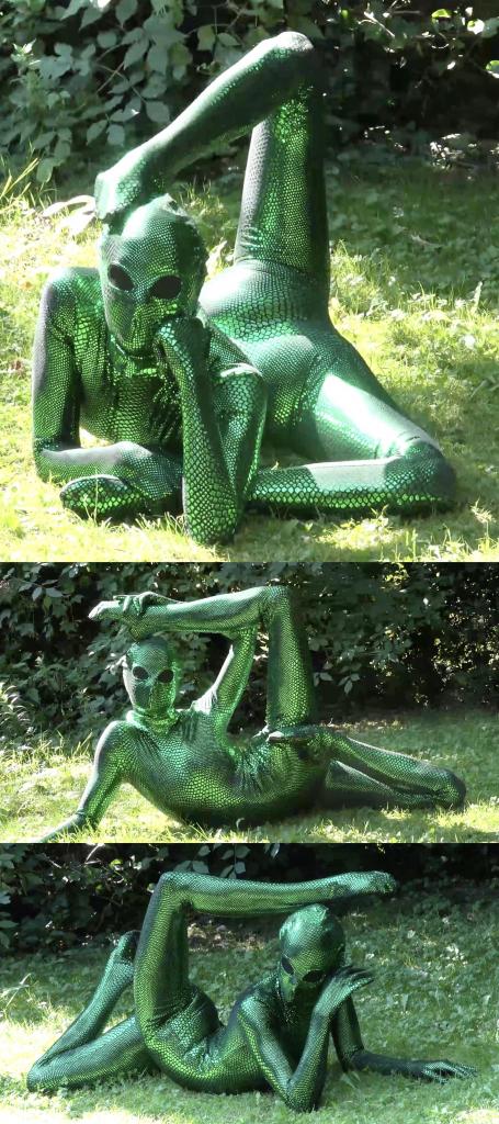 Snake Alien 搬一波经典的系列，250部，肝了很久，整个人都肝麻了，终于能在五一假期给大家献上了。<br><br>该系列简称W4F，内容繁杂，元素丰富。<br>涉及各种恋物的方向 —— zentai、胶衣、丝袜、体操服、柔术、一字马、女同、男女、SM调教等等。<br><br>预览图做的很全面，大家购买时参考预览图就好了。<br>量太大了，所以文案就不写了，预览15秒也不选了，请海涵见谅。<br><br>还望大家多多支持捧场，祝大家五一节日快乐。<br><br><br><br><span style='color:#b0b0b0;'>[隐藏文字，购买后可见]</span>