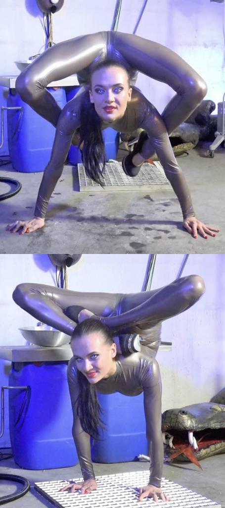 The Rubber Laboratory 搬一波经典的系列，250部，肝了很久，整个人都肝麻了，终于能在五一假期给大家献上了。<br><br>该系列简称W4F，内容繁杂，元素丰富。<br>涉及各种恋物的方向 —— zentai、胶衣、丝袜、体操服、柔术、一字马、女同、男女、SM调教等等。<br><br>预览图做的很全面，大家购买时参考预览图就好了。<br>量太大了，所以文案就不写了，预览15秒也不选了，请海涵见谅。<br><br>还望大家多多支持捧场，祝大家五一节日快乐。<br><br><br><br><span style='color:#b0b0b0;'>[隐藏文字，购买后可见]</span>