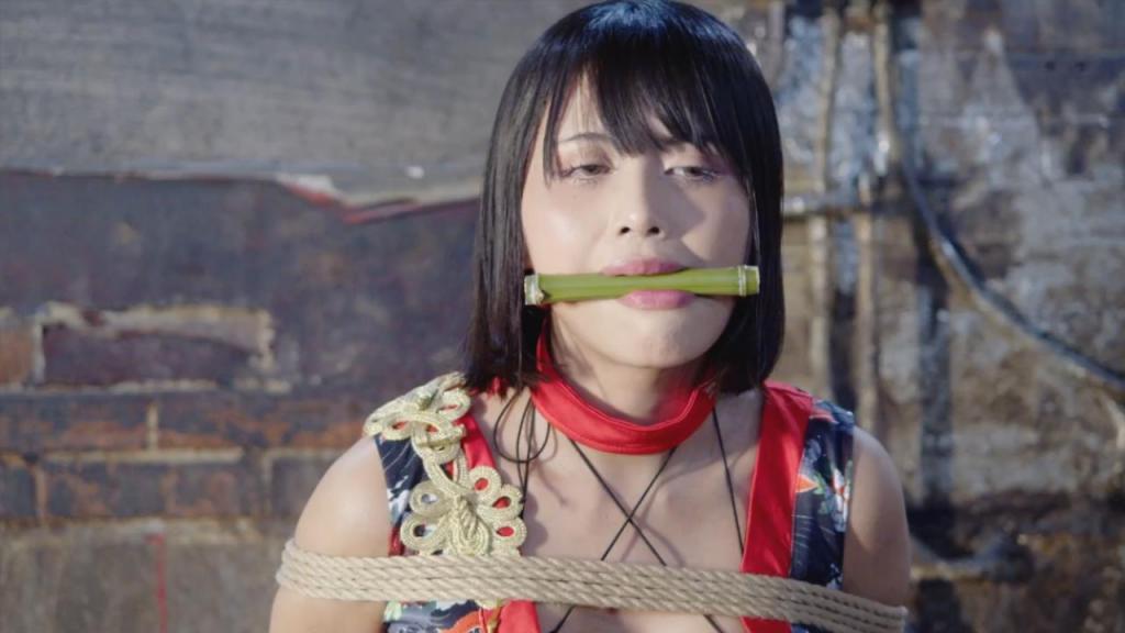 動画/MP4 #223「囚われたクノイチ」標準版 ○剧情：<br>一位身着性感服装的女忍者被俘虏并捆绑起来。她试图用藏起来的苦无逃脱……<br>这是一部以女忍者服装和竹制口塞为特色的DID视频。<br>原作者：センチネルのファンティア (センチネル)