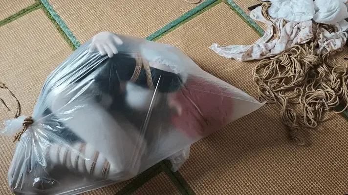 打包袋+强制跪坐+郊狼电击-呼吸控制 “刚从网上入手的硅胶娃娃到货了，本以为是个乖乖听话的玩物，结果这小骚货一到家就各种不服管教～<br>今晚先给她来一顿狠的开箱调教洗礼！<br>双手反绑、打包袋紧裹全身、强制跪坐姿势固定，郊狼电击棒无情刺激敏感部位，再搭配呼吸控制玩到她全身颤抖、眼神求饶……<br>从挣扎到顺从，从反抗到彻底臣服，一步步把这个不听话的娃娃调教成专属的听话的小奴隶。<br>无夜工作室体验可加<br>QQ:393874591（备注来意）<br>推:Wuye_bei<br>欢迎约拍/定拍/另有视频麻绳出售<br>长期招收模特,有意者可联系详谈<br>