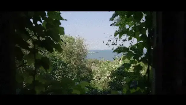 【半岛束艺台】【幼狮】YT3194 老房有喜 ◀️这栋曾回荡着欢声笑语的艺术学校，如今人去楼空，只剩残垣断壁与破碎的镜子，仿佛在低语着那些年轻的爱情。覆盖着练功房窗户的爬山虎，今天终于窥见了不一样的人类活动——是什么样的活动呢？<br><br>㊙️【解压密码】peninsula2018,修改后缀名mp4,勿在线解压和观看<br><br>◀️约拍资讯：<br>【桃子】<br>✅微信:Li-xiaoyang09<br>✅所在地：深圳<br>注：模特信息均为友情推送，本台不对上述模特的约拍活动负责。<br><br>➡️【半岛束艺台】不做精品只做生活，用镜头记录真实绳艺，纯净捆绑，健康游戏！为每一个热爱捆绑的朋友展示最纯粹的绳艺，为每一个顾客用心打造属于您的专属作品。<br>✅主页:https://www.bdbd.app<br>✅微信:peninsulastudio<br>✅QQ:2245148409<br>✅推:@PENINSULABDTV6<br>✅官方用绳:https://sm3guoji.taobao.com/<br>业务咨询秒回，闲聊看心情，色情勿扰。