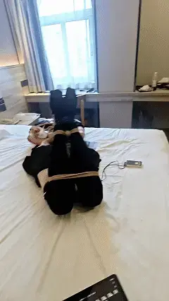【追风】女仆小男娘驷马爬行+高强电击 做个小实验 驷马绑着能不能爬行呢 然后用郊狼作为驱动力 开始挣扎吧<br>游戏入口：广州  Q 744324232 欢迎交流<br>解压密码：windgames