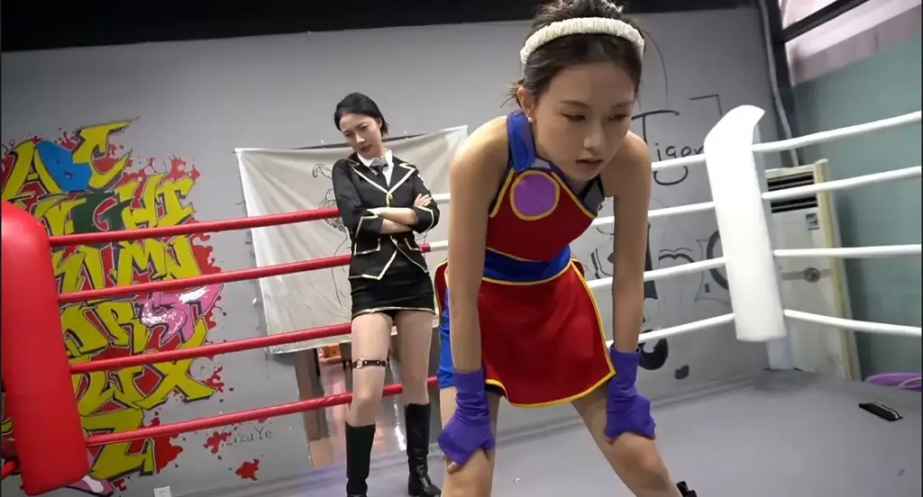 角色乱斗 两个不同游戏世界的角色穿越到擂台格斗会擦出怎样的火花呢......客服企鹅QQ:1307292935