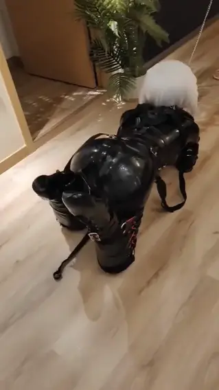 k9真的好累，但好爽 kigurumi、人形犬、拘束、伪娘、着ぐるみ、玩娃、k9、犬缚、ヒトイヌ<br>视频原创者：香辣折耳根月饼@xianglayuebing