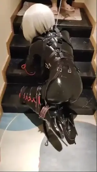 k9，但是另外一个视角 kigurumi、人形犬、拘束、伪娘、着ぐるみ、玩娃、k9、犬缚、ヒトイヌ<br>视频原创者：香辣折耳根月饼@xianglayuebing