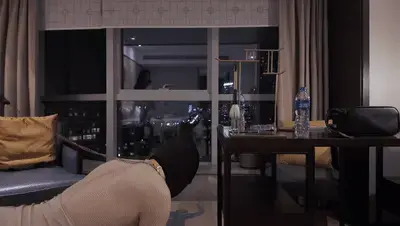 官官妖狐TJ视频之雌堕+女装+尾巴 长发披肩的冷艳的妈妈，穿着性感至极的齐B超短裤与闪亮高跟鞋，嘴角带着掌控一切的笑意。<br>妈妈面前，你是彻底雌堕的小母狗——丝袜紧紧包裹着妈妈修长的腿，M身后摇曳着诱人的尾巴，妈妈的高跟鞋尖轻轻挑起M的下巴，虐乳的指尖与掌心，在M敏感的地方上来回肆虐，疼痛与快感交织，让M发出压抑又下贱的呻吟。<br>“看你这副骚样子……今天，你就是我的魅魔小母狗。”<br>从丝袜足控到尾巴羞辱，妈妈用高跟与命令，将M一步步调教成彻底沉沦的玩具。<br>你，敢来见证这场极致雌堕吗？<br>视频解压说明：视频两次解压，改后缀，输入密码<span style='color:#b0b0b0;'>[Hidden text will display after purchase]</span><br>如果你也对此类玩法感兴趣，请通过276727177作简单的自我介绍与添加意向，此目的为筛选诚意伙伴、建立平等交流基础的必要条件。