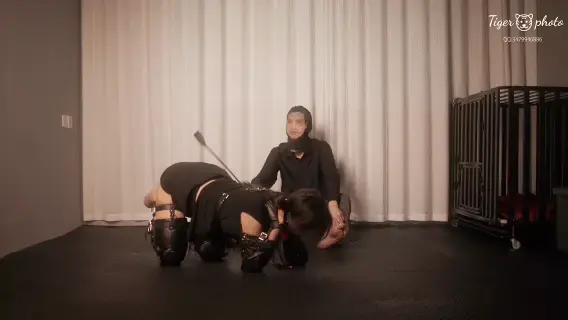 玖儿体验新玩具 k9 套装 玖儿体验新玩具 k9 套装<br>胖虎私摄长期招聘模特<br>更多精彩内容，小伙伴可以私信定拍QQ:3479946886<br>作品解压密码@tiger7986<br>