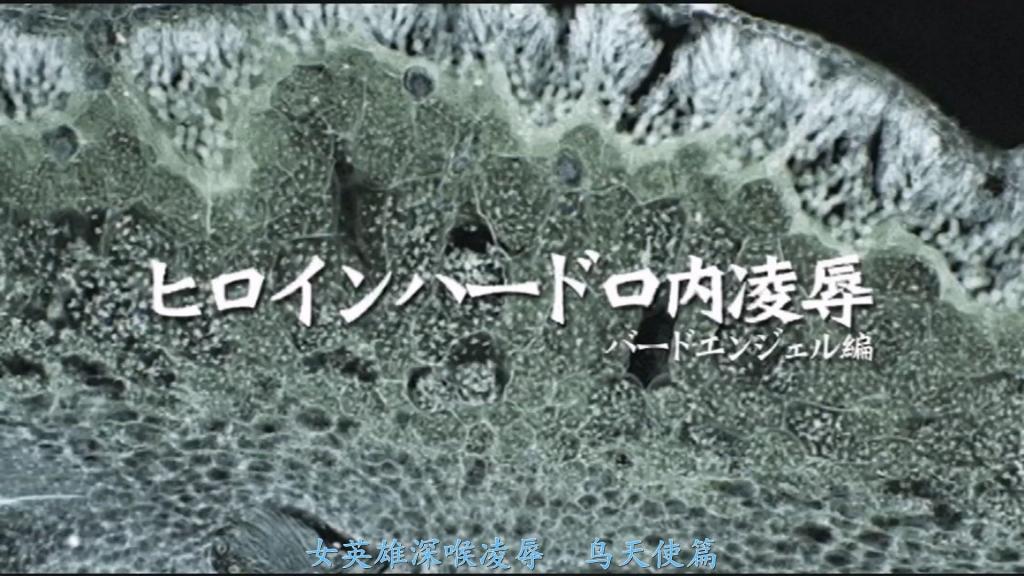 【精翻中文】ヒロインハード口内陥落　バードエンジェル編 这是由水嶋あずみ（水岛杏美）主演的一部硬核程度尚可的口腔凌辱题材作品。几年前，由于无修正影像流出，她以非常令人遗憾的方式退出了演艺圈，但只要还有我没看过的作品存在，在我心中她就依然现役。仅特摄类作品就有十几部，她作为女主角也相当活跃。话说回来，她本就拥有顶级的色气脸蛋，光是看着就足以让人完全勃起，而这次的主题又是她五官中尤其迷人的嘴部成为主角的“口腔凌辱”，自然让人不自觉地提高了期待值。说实话，如果抱有过高期待，看后可能会觉得有些许遗憾，但只要能理解这毕竟只是“特摄”这一类型中的口腔凌辱，并且所谓“口”其实是指包括下面的嘴在内的两张嘴，那就绝对能让人撸得非常尽兴。内容方面，除了被拘束状态下被战斗员深喉插入、被怪人插入等普通凌辱场景之外，还有由特殊怪人进行的口腔凌辱，而这正是作品的高潮所在。有一个叫尼科尔星人的怪人，脸上长着一根红色的阴茎，那根阴茎被强行塞进女主角嘴里，多次在她口中发射体液的场景就是重头戏。根据不同作品，可以尽情欣赏口腔被侵犯的样子。此外，场景后半段是对下面那张嘴的凌辱，怪人以头部前后活塞运动的方式，将趴成四足跪姿的女主角从背后插入，这种略显特殊的性交方式当然也是体内射精。而且不止于此，女主角还在快感中堕落，自慰、口交、翻着白眼正式交合，最后甚至作为怪人的性处理奴隶进行侍奉。超演技派的水嶋あずみ，不仅演凌辱方很出色，被侵犯一方的演技也极其到位。即便对这位女演员没有特别的情感，光是看她扭曲漂亮脸蛋露出抗拒表情的样子，就足够让人撸上好几发。总之，推荐给喜欢看口中被白浊液灌满的女主角、以及喜欢振动棒口交场景的人。<br>水嶋あずみさん主演の、ハード感はソコソコな口内凌辱モノ。数年前、無修正映像の流出を機に、とても残念な形で引退してしまった彼女だが、視聴していない作品が存在する限り、私の中ではまだまだ現役。特撮だけでも十数本の作品があり、ヒロインとしても大活躍していた。<br>そもそも、最上級のエロフェイスは、それだけでフル勃起ポイントなのに、その中でも特に魅力的な口元が主役になりそうな"口内凌辱"がテーマとあって、自然とハードルが上がってしまいがち。さすがに、過度の期待を寄せていると少し残念な気分になるかもしれないけど、あくまでも"特撮"ジャンルにおいての口内凌辱であることと、口は口でも下の口を含む二つの口だと理解していれば、ものすごく抜ける。内容は、拘束されたまま戦闘員からイラマされたり、怪人に挿れられたりする普通の凌辱シーンのほか、特殊な怪人による口内凌辱があり、それこそが作品の山場。ニコール星人という、顔から真っ赤なチンコが生えた怪人に、そのチンコを無理矢理口に突っ込まれて、何度も体液を口内発射されるシーン。作品によっては、怪人のオモチャチンコにモザイクが入ってることもあるが、これは顔に付いているためかモザイクが無く、口の中が犯されてる様子を存分に楽しむことができる。<br>さらに、シーンの後半は下の口への凌辱で、怪人が頭をピストンさせて、四つ這いになったヒロインをバックでハメるという、ちょっと特殊なファックで、もちろんこっちも口内発射。しかも、それだけでは終わらず、ヒロインが快楽堕ちしてオナニーしたり、フェラしたり、アヘりながら本番したりした挙句、最後は怪人の性処理奴隷として奉仕するシーンもある。超演技派の水嶋あずみさんは、責める側だけでなく、犯られる側の演技も非常に上手い。女優さんに強い思い入れがなくても、綺麗な顔を歪ませて嫌がってる姿だけで数発抜けるレベル。とりあえず、口の中が白濁液で満たされるヒロインや、バイブフェラシーンが好きな人にオススメ。<br>作品番号<span style='color:#b0b0b0;'>[隐藏文字，购买后可见]</span>分享均为定制精翻，感谢支持