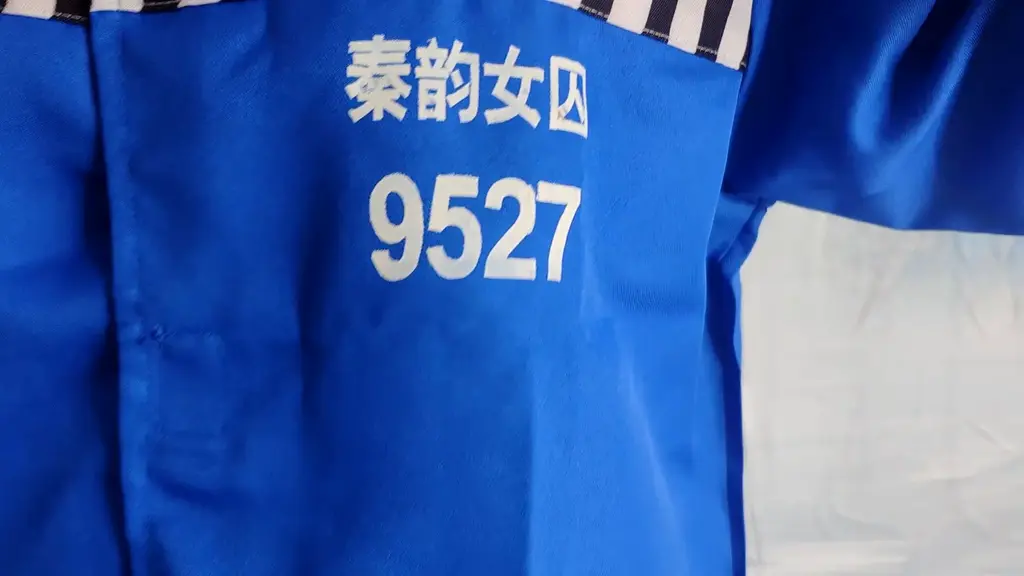 袅袅的囚徒体验 袅袅闲的无聊，突发奇想，体验女囚，给她体验点不一样的，嘿嘿...<br>本片经过模特知情同意进行拍摄，无任何真实暴力发生。<br>秦韵绳屋祝大家：马年行大运，发大财。<br>本绳屋无线下体验，请不用再咨询了，谢谢。<br>业务QQ：1937963514，可接定拍，欢迎骚扰。<br>解压密码：qinyun