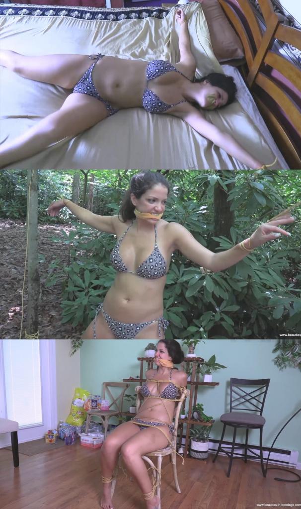 The Girl With The Golden Gag - Jasmine St James 又一个妄想狂妄之徒妄图毁灭世界，而只有一位女孩能够阻止他：邦德，茉莉·邦德。M向茉莉简要说明了让理查德·布洛福尔使用“装置”的严重后果后，茉莉横渡大西洋，来到北美偏远的森林深处，军情六处认为布洛福尔在那里拥有一处隐秘的藏身之处。她的任务是潜入布洛福尔的组织，担任他的新保镖。她浑然不知布洛福尔早已识破她的真实身份，没过多久，这位勇敢的特工就被捆绑起来——先是被绑在两棵树之间，然后被绑在椅子上，之后又被五花大绑地绑在床上，所有捆绑都用金色的绳索完成。她遭到审问，当她拒绝透露身份时，布洛福尔用他标志性的金色口塞堵住了她的嘴。邦德小姐多次逃脱，却又一次次落网。她能否在布洛福尔引爆“装置”之前，出其不意地制服这个疯子？Another megalomaniac wants to destroy the world and only one girl can stop him: Bond, Jasmine Bond. Briefed by M on the dire consequences of letting Richard Blowfall using "The Device", Jasmine crosses the Atlantic to reach the backwoods of North America where MI6 believes he has a secluded retreat. Her mission is to infiltrate his organization, taking a job as his new bodyguard. Little does she realize that he already knows exactly who she is, and it is not long before our plucky agent is in bondage - stretched between two trees, tied to a chair and later spreadeagled on a bed, all with gold-colored rope. She is questioned, then silenced with Blowfall's signature golden gags when she refuses to admit her identity. Ms. Bond escapes captivity several times, only to be brought down again. Will she get the drop on this madman before he can detonate The Device?