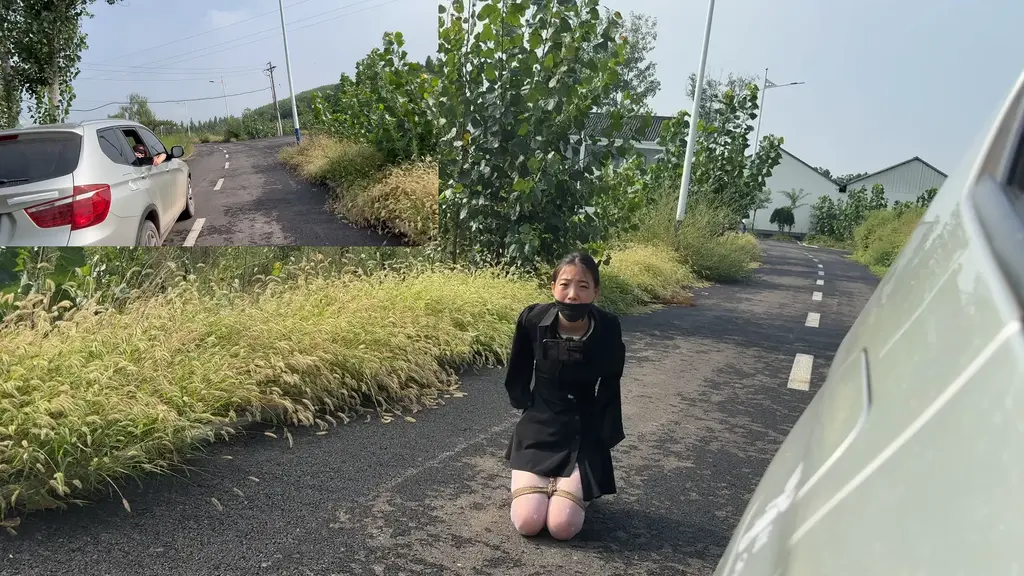 媚娘工作室-小奴的特别户外晨练-双摄（粉丝剧本） 媚娘工作室<br>V:19031105377<br>线x体验 私人定拍 线下陪玩 约绑模特 全国上课<br>（本作品为粉丝私人定制拍摄）<br>直臂捆绑，大腿并腿缚限制行动力，只能缓慢行走；遥控跳d干扰，口塞短丝戴口球，绷带包裹，黑色连衣裙伪装<br>首先让车挂空挡让m蹲在车后面感受一下汽车排气管的轰鸣，然后让车辆开走，请随心所欲发挥后面就真的开走让m看不到车子，最后把车开回来接m，m身上也带一个摄像头