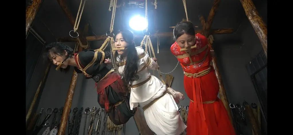一绳有你定制《女神捕之千金蒙冤案》第一集 女神捕系列的续作，女神捕铲除白莲教势力后奉命在江南调查县令被害一案，路上救了被抓住的县令千金和前来协助的女侠，三女来一家客栈落脚，不料中了追兵的诡计。。。。