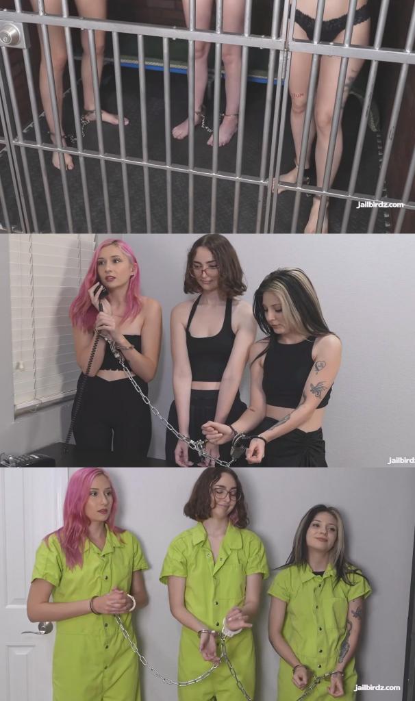 Persephone, Gracie &amp; Daisy’s Voluntary Surrender 珀尔塞福涅·佩奇、格雷西和黛西·梅多斯决定自首。她们承认抢劫并殴打了一名男子后，打电话报警，然后一起等待结果。<br><br>里斯警官出现，将她们全部逮捕，并用铰链式手铐将她们反铐在背后。<br><br>进入登记处后，她们的手铐被移到前面，并分别固定在桌子上。在她们被铐住的情况下，工作人员采集了指纹。随后，她们并排站着，仍然被铐着，并接听了电话。<br><br>珀尔塞福涅首先被带走。她的前铐被解开，以便拍摄嫌犯照片和进行彻底搜查。她甩了甩头发，露出耳后，抬起舌头，转身接受检查，然后再次被反铐在背后。<br><br>格雷西随后也经历了同样的程序。拍照、详细搜查，然后再次被反铐。<br><br>黛西也经历了同样的程序。拍摄嫌犯照片。彻底搜查。完事后，手铐反铐在她背后。<br><br>三人被一同关进拘留室。门关上，里面只有一张床。<br><br>随后，他们被带出来，换上绿色囚服，并被要求换上。穿好衣服后，他们被戴上脚镣，并用铁链拴在一起。<br><br>最后，三人身着绿色囚服，脚镣反铐，手铐相连。Persephone Page, Gracie, and Daisy Meadows make the decision to turn themselves in. After confessing to a robbery and beating up a man, they call the police and wait together for the consequences.<br><br>Officer Reese shows up and takes them all into custody and handcuffs them behind the back with hinged handcuffs.<br><br>Inside intake, their cuffs are moved to the front and each is secured directly to the desk. Fingerprints are taken while they remain chained in place. Phone calls follow, still restrained and standing side by side.<br><br><br>Persephone is taken first. Her front cuffs are removed for mugshots and a thorough search. She shakes out her hair, shows behind her ears, lifts her tongue, and turns for inspection before being secured again in hinged cuffs behind her back.<br><br>Gracie follows with the same sequence. Photographs, detailed search, then re cuffed behind.<br><br>Daisy undergoes identical processing. Mugshots. Complete search. Cuffs locked behind her back once finished.<br><br>All three are placed into the holding cell together. The door closes with only one cot inside.<br><br>They are then brought back out, issued green jail jumpsuits, and instructed to change. Once dressed, ankle shackles are added and they are chained together.<br><br>By the end, all three stand uniformed in green, cuffed in front shackled, and linked together.