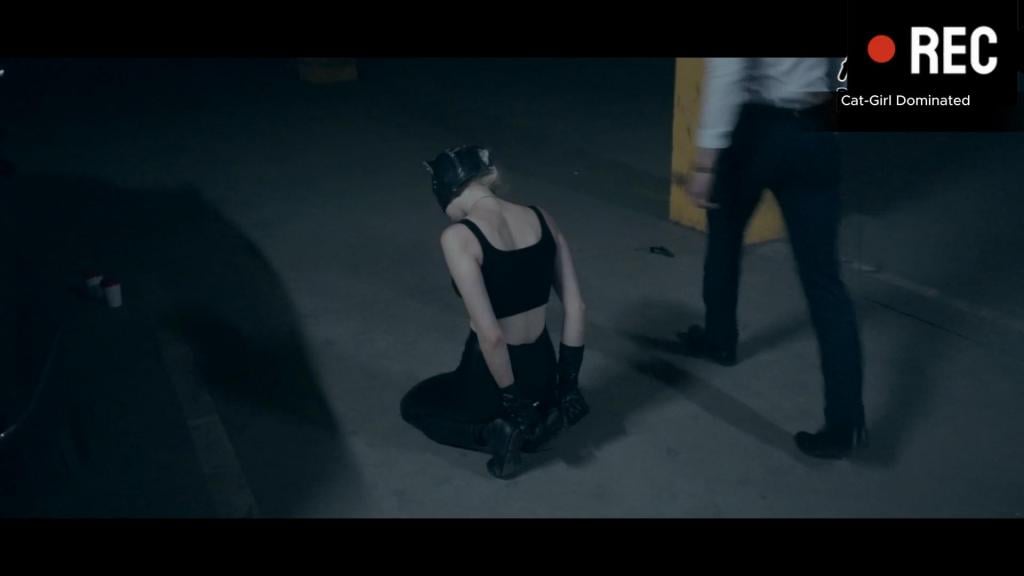 Cat-Girl Defeated Collection Superheroine defeated by her enemy. <span style='color:#b0b0b0;'>[隐藏文字，购买后可见]</span>