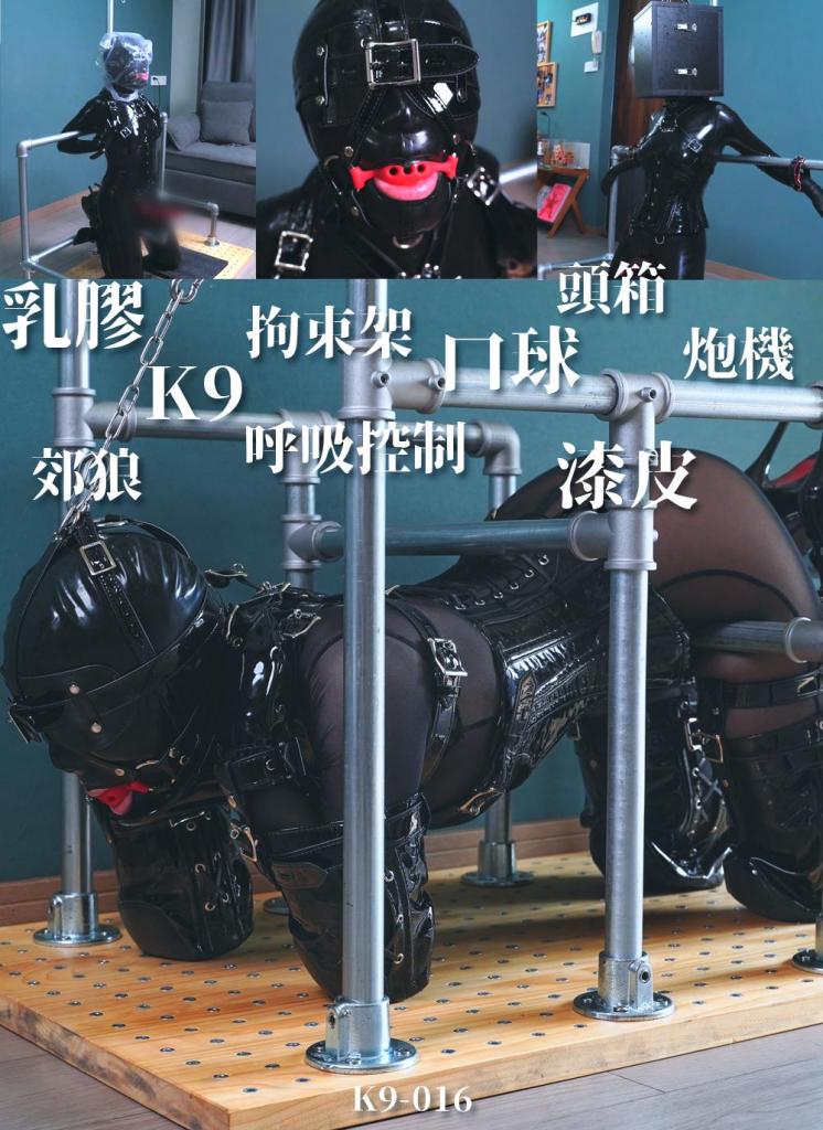 【闪闪工作室】成分复杂的一期×乳胶衣×K9×漆皮拘束具×钢管拘束架×口球×头箱×郊狼×呼吸控制×炮机×芭蕾靴 为了达到极致的K9效果，全新BM家的漆皮K9套装开启，漆皮有更强的束缚感，加上强制抬头的脖套，马具口球，漆皮眼罩，效果绝赞啊<br>不仅如此，我还手搓了一个K9动作固定架，用钢管组合，十分牢固<br>时雨就这样被K9套装拘束着，再固定在拘束架里，忍受郊狼的电击和炮机的肆虐<br>后来我改变了拘束架模式，组成一个强制罚跪形态，让时雨换上了胶衣和芭蕾靴，手被反铐在护栏上，既能起拘束作用也能维持平衡，头被吊起，利用固定在拘束架上的震动器对她持续强制糕朝<br><br>【网盘文件先下载到电脑，解压得出的文件后续名html修改为zip，再解压一次】<br>【不要在网盘解压与播放】<br>解压密码：shanshan