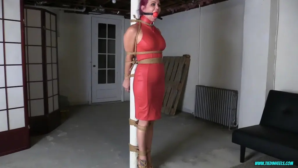 Sarah Brooke Pole Tied, Red Leather Dress and Strappy High Heeled Sandals! Original title: Sarah Brooke Pole Tied, Red Leather Dress and Strappy High Heeled Sandals!<br><br>SEXY SARAH BROOKE IS TAKEN TO THE BASEMENT DUNGEON DRESSED IN A SKIMPY RED LEATHER DRESS AND STRAPPY HIGH HEELS! SHE RELUCTANTLY AGRESS TO BE TIGHTLY BOUND TO THE DUNGEON POST! SARAH IS QUICKLY AND STRICTLY TIED TO THE DUNGEON POST! <br><br>SHE IS GAGGED WITH A HUGE, RED BALL GAG AND THEN THE ROPING STARTS! SARAH QUICKLY REALIZES THE ROPES ARE GETTING TIGHTER AS SHE IS TIGHTLY LASHED TO THE POST! SARAH STRUGGLES AND SUFFERS AS THE FINISHING TOUCHES ARE APPLIED TO HER SEXY, FIT BODY! SHE IS TIGHTLY BOUND AND GAGGED TO THE DUNGEON POST AND SHE IS NOT GOING ANYWHERE, ANYTIME SOON!